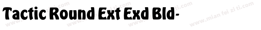 Tactic Round Ext Exd Bld字体转换